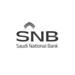 snb